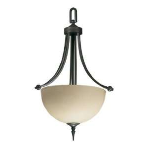   Light Chandelier in Old World Finish   621 1 95