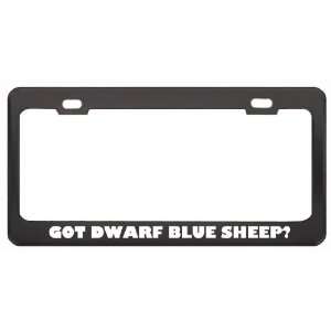 Got Dwarf Blue Sheep? Animals Pets Black Metal License Plate Frame 