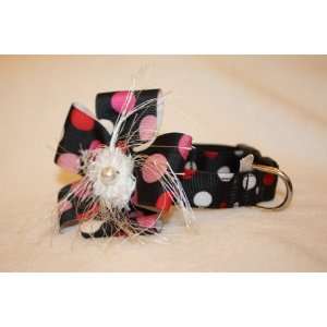  Black with Colored Polka Dots Flower Dog Collars Pet 