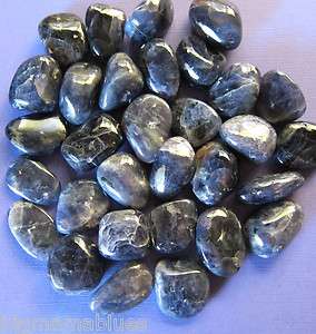 IOLITE 1 LG Tumbled Stone Crystal Healing Reiki Water Sapphire Money 