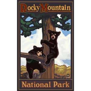  Northwest Art Mall Rocky Mountain National Park Bear Cubs 