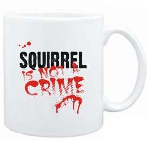    Being a  Squirrel is not a crime  Animals