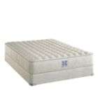 Sealy Bed Mattress  