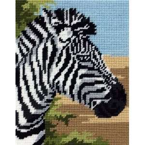  Zebra   Needlepoint Kit Arts, Crafts & Sewing
