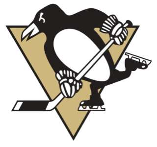 NHL Pittsburgh Penguins Iron On Transfer #2  