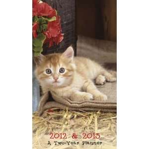    (6x9) Kittens 16 Month 2012 Weekly Planner Calendar