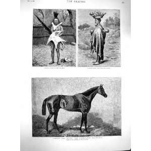   1880 Robert Devil Race Horse Basuto Warrior War Dress