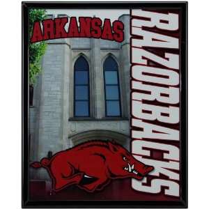 Arkansas Razorbacks 8 x 10 Campus Framed Photograph  