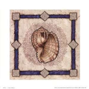 Mollusk Shell II Poster Print