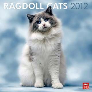 Ragdoll Cats 2012 Wall Calendar  