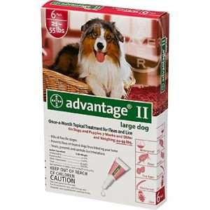 Advantage II for Dogs 21 55 lbs 6pk (6 Month Supply)  