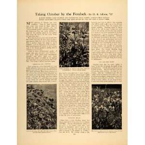  1909 Article Fall Planting Garden Perennial Peony Adams 