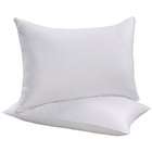  Back to School Bed Pillows (Set of 2)