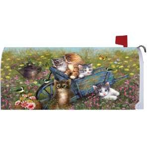 Curious Kittens   Decorative Mailbox Makeover Cover