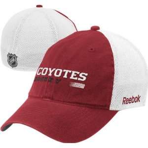  Phoenix Coyotes Official Team Flex Slouch Hat Sports 
