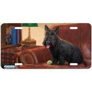  5427 I Rule this Couch Scottish Terrier License Plate 
