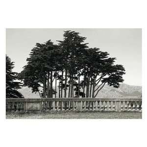  Cypress Trees and Balusters   Poster by Christian Peacock 