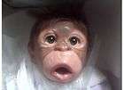 So Truly Real Baby Umi Monkey Doll Simian Orangutan  