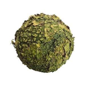 Lichen Moss Ball Green (Pack of 6) 
