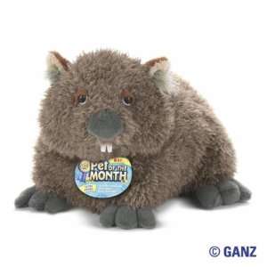  Webkinz Wombat May Pet of the Month with Trading Cards 