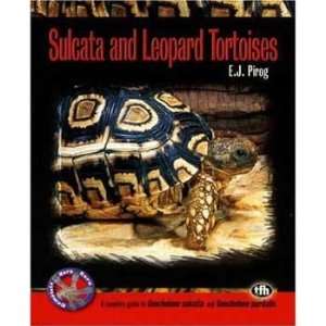 Complete Herp Care   Sulcata & Leopard Tortoises  Kitchen 