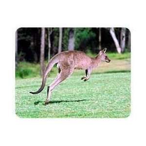  Kangaroo Coasters Patio, Lawn & Garden