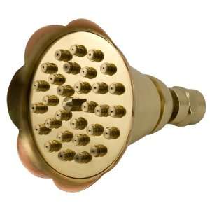  Sale   Petal Showerhead   Polished Brass