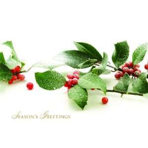  Frosted Berries Holiday Cards