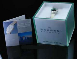 Mens Skagen SS Mesh Band 696XLTTM Day Date Titanium New Watch 