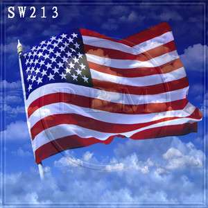 USA NATIONAL FLAG 10x10 CP SCENIC PHOTO BACKGROUND BACKDROP SW213 