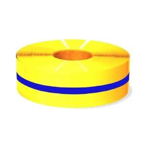 Mighty Line 4RYBCTR Floor Tape with Blue Center, 100 Length, 4 Width 