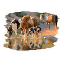 Night Cap Three Paint Horses and Foal Womans T Shirt Size Medium to 