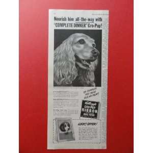  Kelloggs Gro Pup Ribbon Dog Food.1950 print ad (English 
