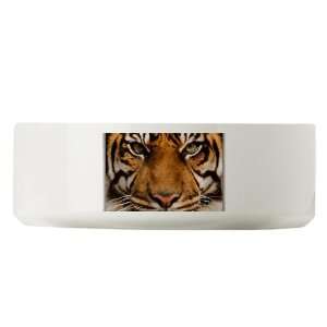  Large Dog Cat Food Water Bowl Sumatran Tiger Face 