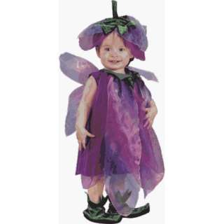 Childs Toddler Sugar Plum Fairy Costume (24M)  Clothing
