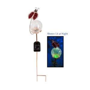  Pack of 2 Lighted Solar Power Color Change Ladybug and 