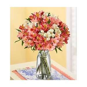 Flowers by 1800Flowers   Perfectly Pink Peruvian Lilies, 50 100 Blooms