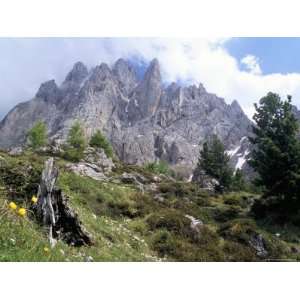 Sassolungo Range, 3181M, Val Gardena, Dolomites, Alto Adige, Italy 