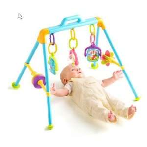  Garanimals Stay and Play Activity Gym Toys & Games