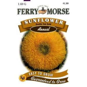   Annual Flower Seeds 1156 Sunflower   Double Sun 1.6 Gram Packet Patio