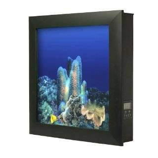   Mounted Aquarium with Coral Reef Background, Black Frame by Aquavista