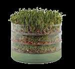 sprouting devices that in which you sprout your seeds biosnacky