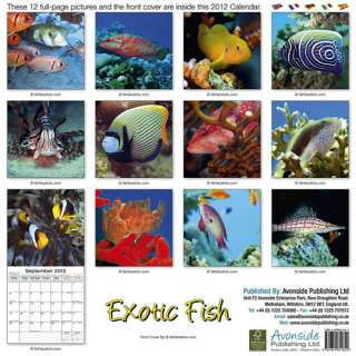 Exotic Fish 2012 Calendar   NEW  