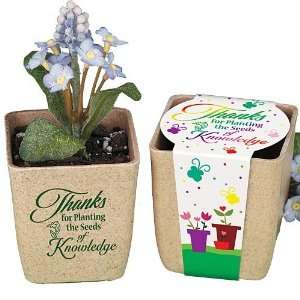   Of Knowledge Biodegradable Flower Pot With Seeds Patio, Lawn & Garden