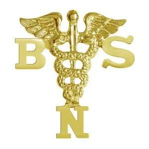   Bachelor of Science in Nursing BSN Graduation Pin in 14K Gold Jewelry