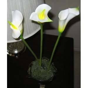  3 White Led Lighted Calla Lilies