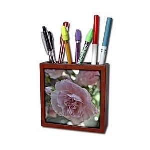 Patricia Sanders Flowers   Pink Carnation Floral   Tile Pen Holders 5 