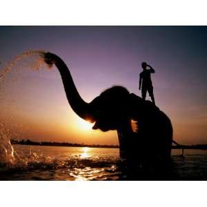  Elephant Bathing with Its Mahout in the Rapti River, Royal Chitwan 