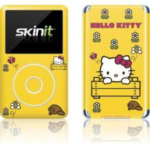   Fence Vinyl Skin for iPod Classic (6th Gen) 80 / 160GB Electronics