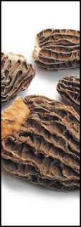 Dried Morel Mushrooms   Multiple Sizes Available  